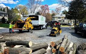 How Our Tree Care Process Works  in Pughtown, PA